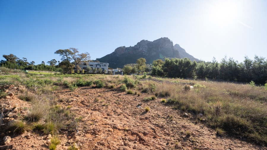 0 Bedroom Property for Sale in Johannesdal Western Cape